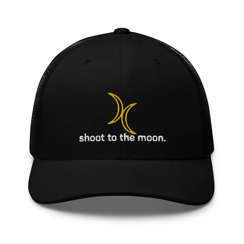 Shoot To The Moon.